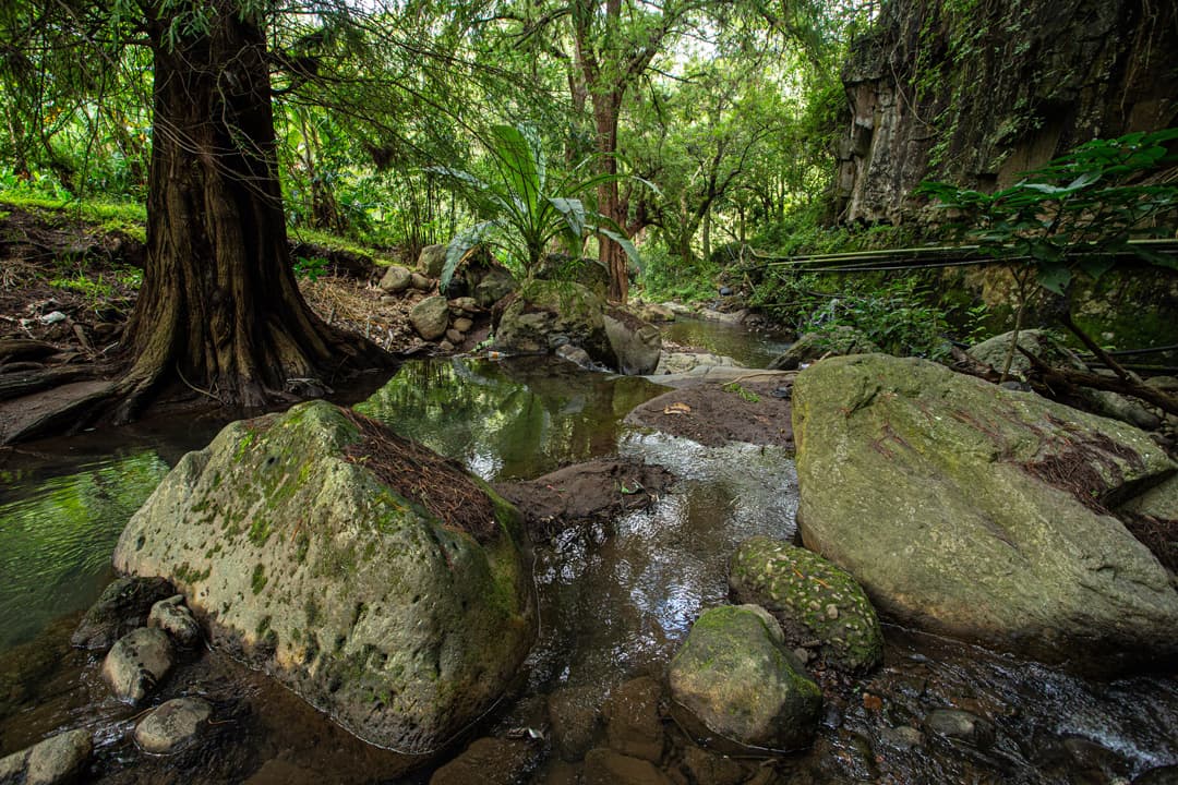 Malinalco esotérico: Rituales prehispánicos y energía ancestral entre montañas del Estado de México